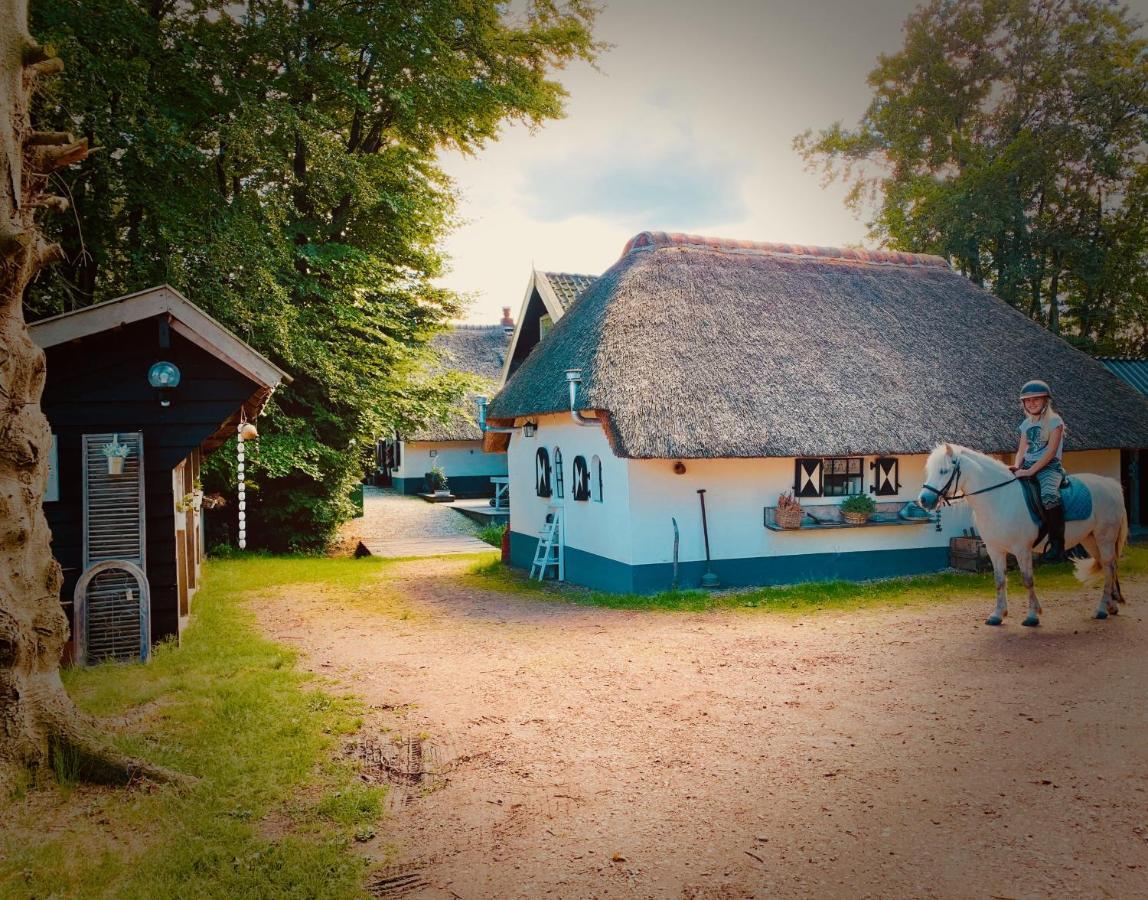 Bakhuisje Op De Veluwe Heerde المظهر الخارجي الصورة