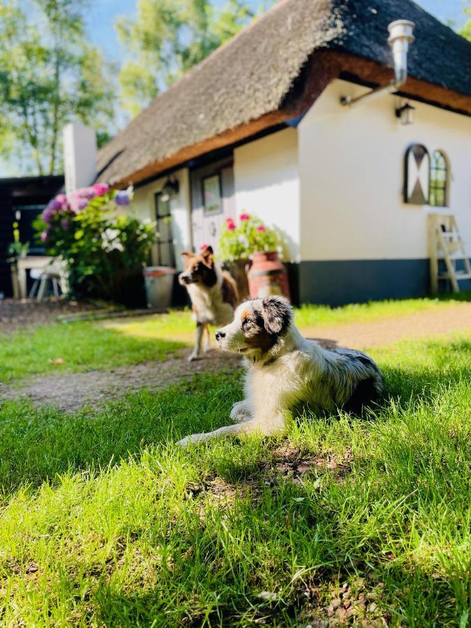 Bakhuisje Op De Veluwe Heerde المظهر الخارجي الصورة