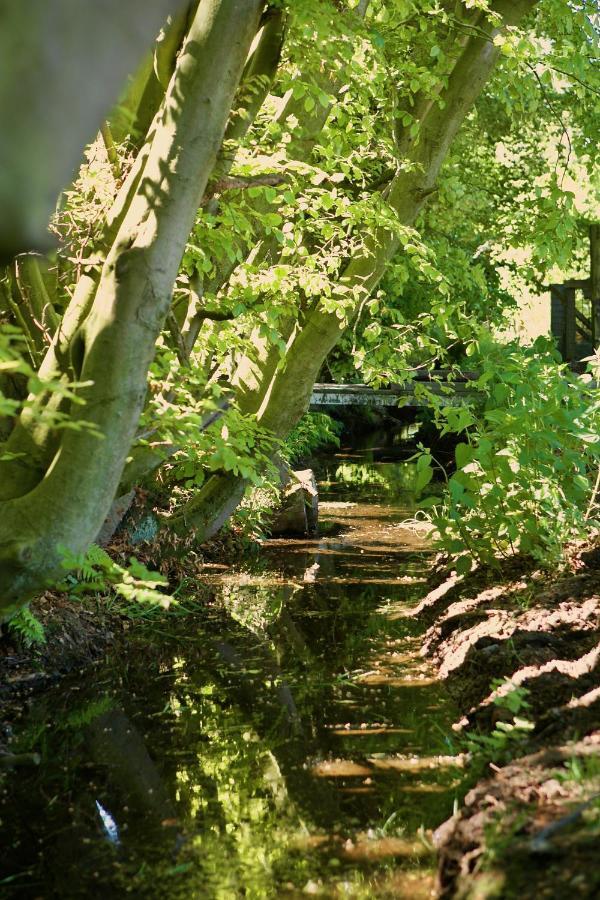 Bakhuisje Op De Veluwe Heerde المظهر الخارجي الصورة